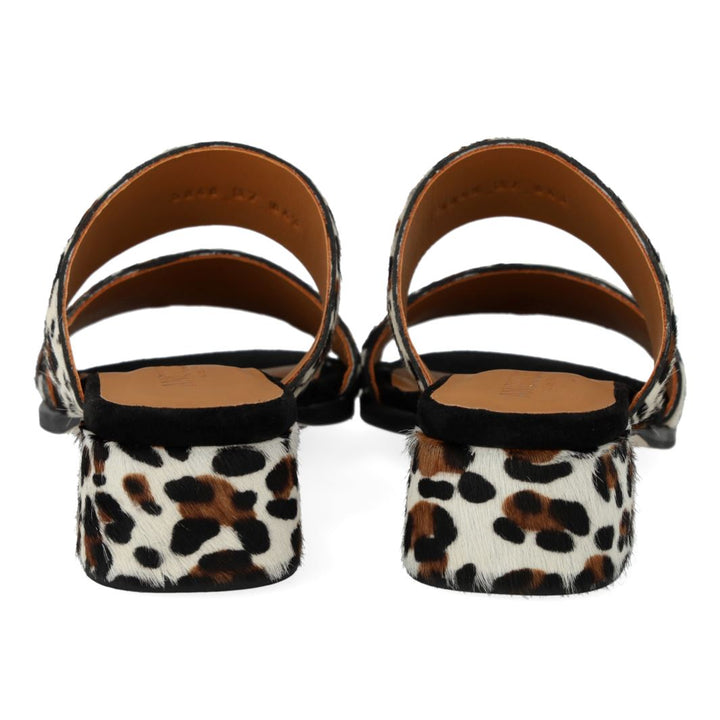 ANGULUS - 5848-102 - Leopard/Black