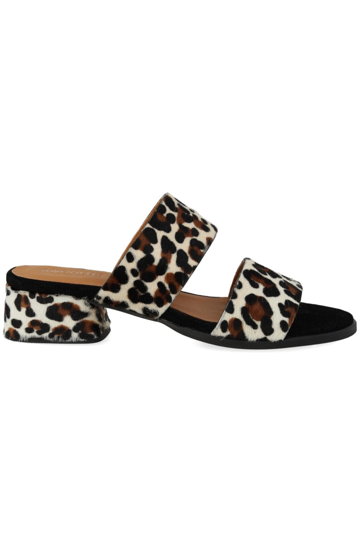 ANGULUS - 5848-102 - Leopard/Black